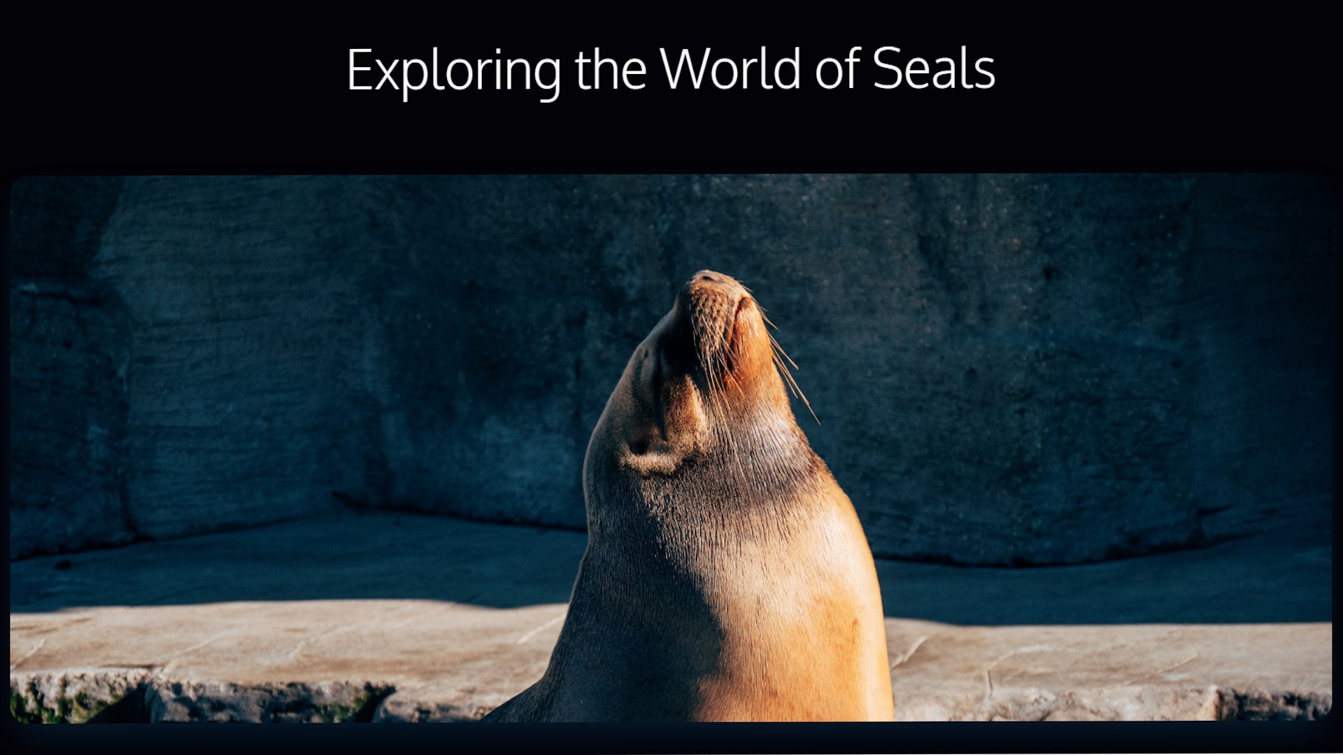 seaworld-img
